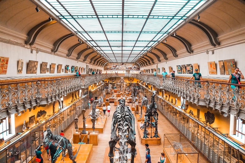 Archaeology